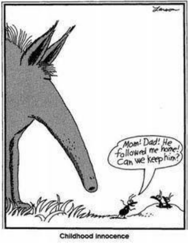 The Far Side Comics - insects found in the far side comics